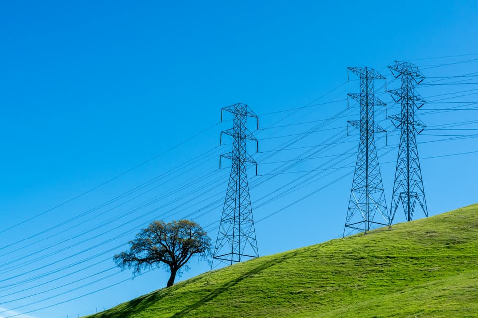 A lone tree on a grassy hill below high-voltage power lines